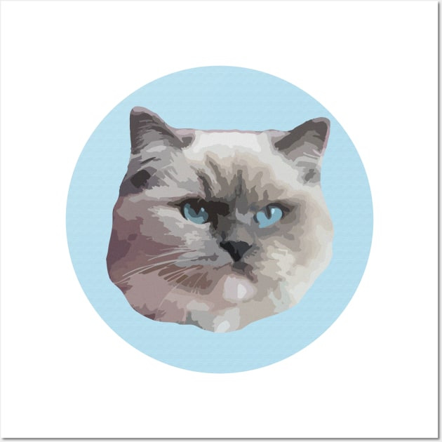 Ragdoll Cat Wall Art by NV